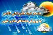 هشدارها و توصیه های  شبکه دامپرورشکی کاشمربه پرورش دهندگان دام و طیور شهرستان  برای کنترل عوارض ناشی از کاهش دما